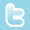 Twitter Button