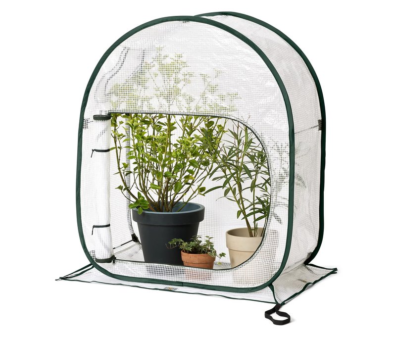 Tchibo - Schmales Pup-Up Pflanzenschutzzelt - 100x50x120cm - dunkelgrün -