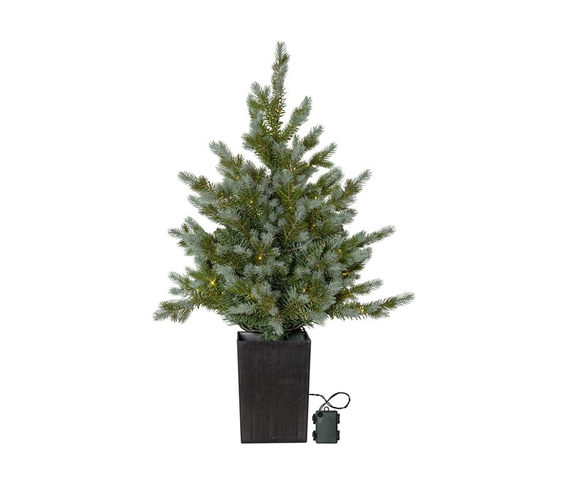 Tchibo - LED-Weihnachtsbaum »Greyland« - schwarz