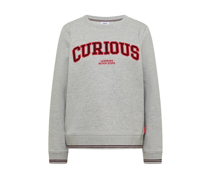 Tchibo - Cecil Sweatshirt - Damen - Gr. XL - grau
