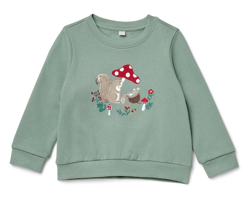 Tchibo - Kinder-Sweatshirt mit angerauter Innenseite - Newborn - Gr. 50/56 - grün