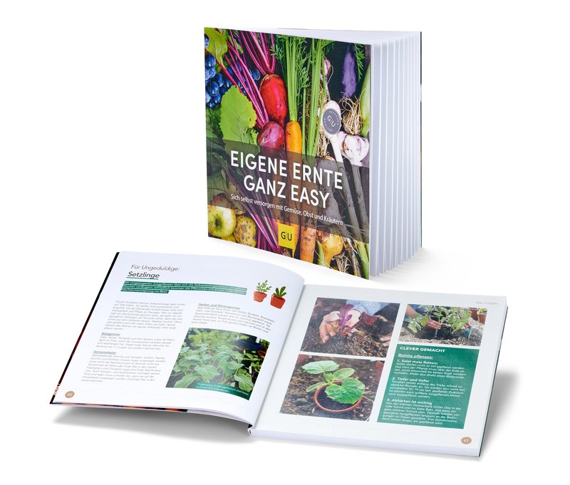 Tchibo - Buch »Eigene Ernte ganz easy«