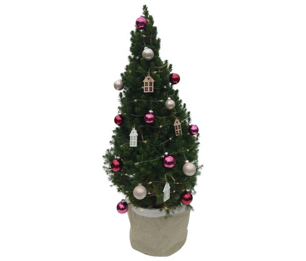 Tchibo - Echtes Weihnachtsbäumchen mit Dekoration - beige