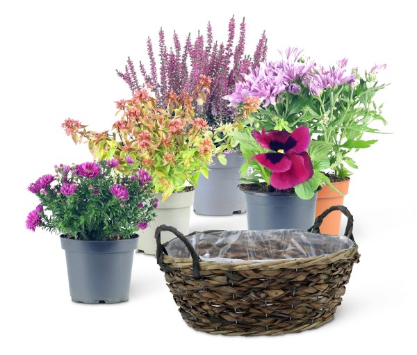 Tchibo - Herbst-Set 1 - bordeaux