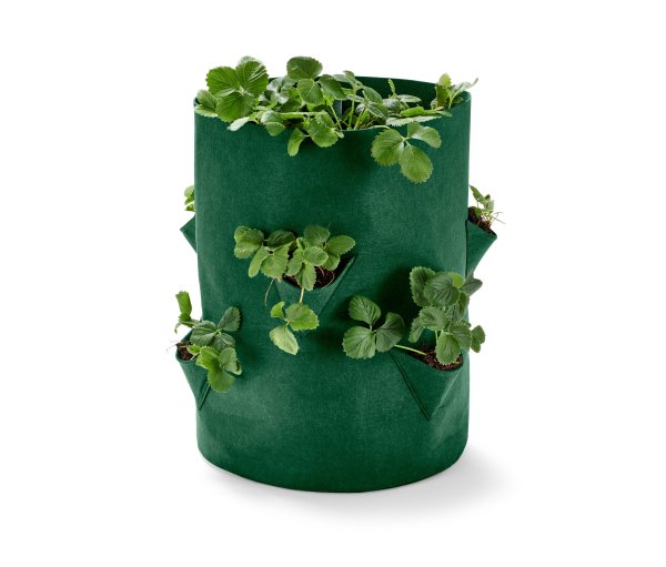 Tchibo - Erdbeeren-Pflanztasche - grün