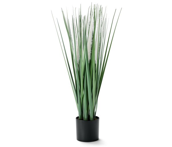 Tchibo - Kunstpflanze »Gräser und Pampas« im Topf - grün