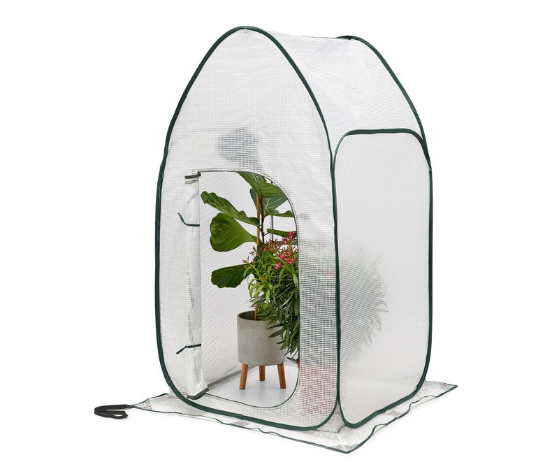 Tchibo - Hohes Pop-up-Pflanzenschutz-Zelt - 100x100x180cm - dunkelgrün - Fiberglas / Polyethylen / Polyester