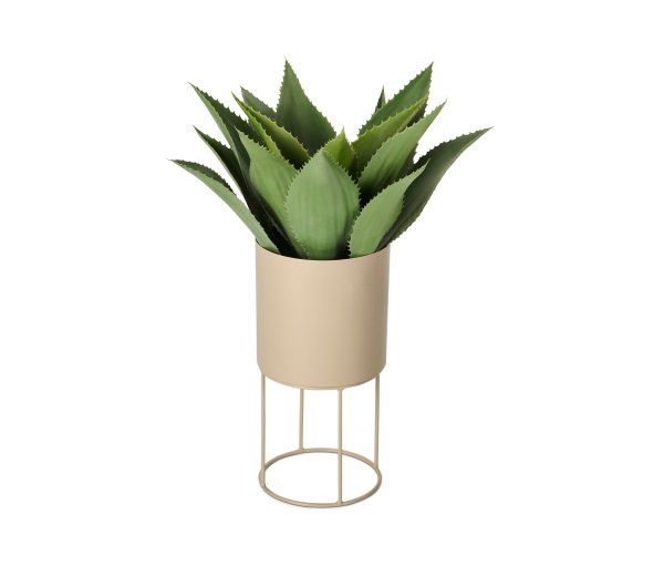 Tchibo - Runde Pflanzbox - beige