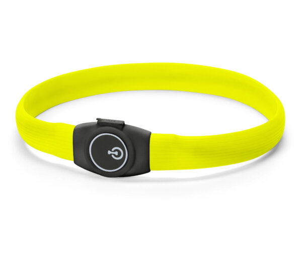 Tchibo - Hunde-LED-Halsband - schwarz