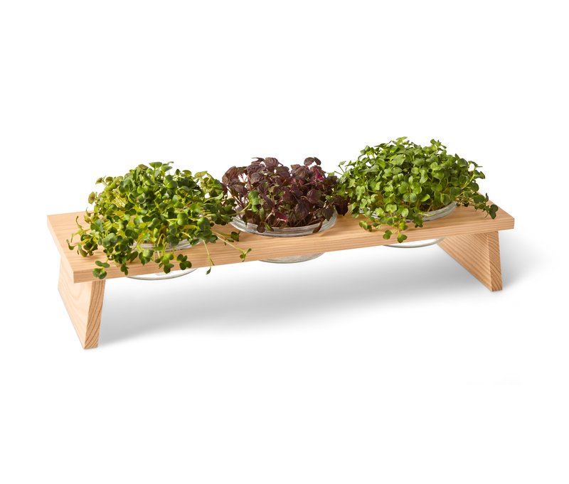 Tchibo - 3er-Microgreens-Bank - naturfarben