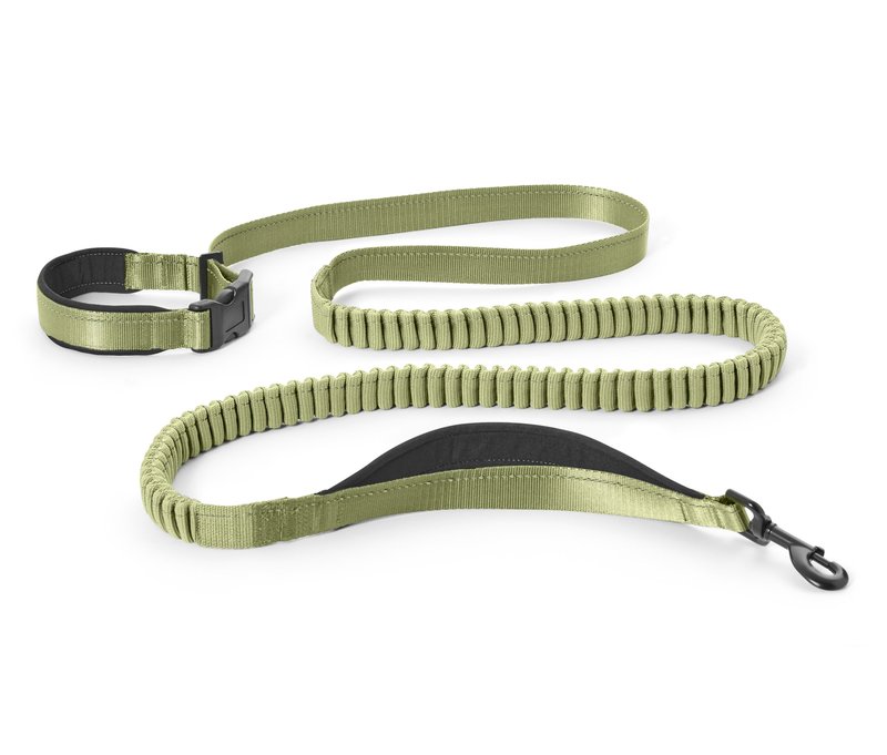 Tchibo - Längenverstellbare Hundeleine - olivgrün