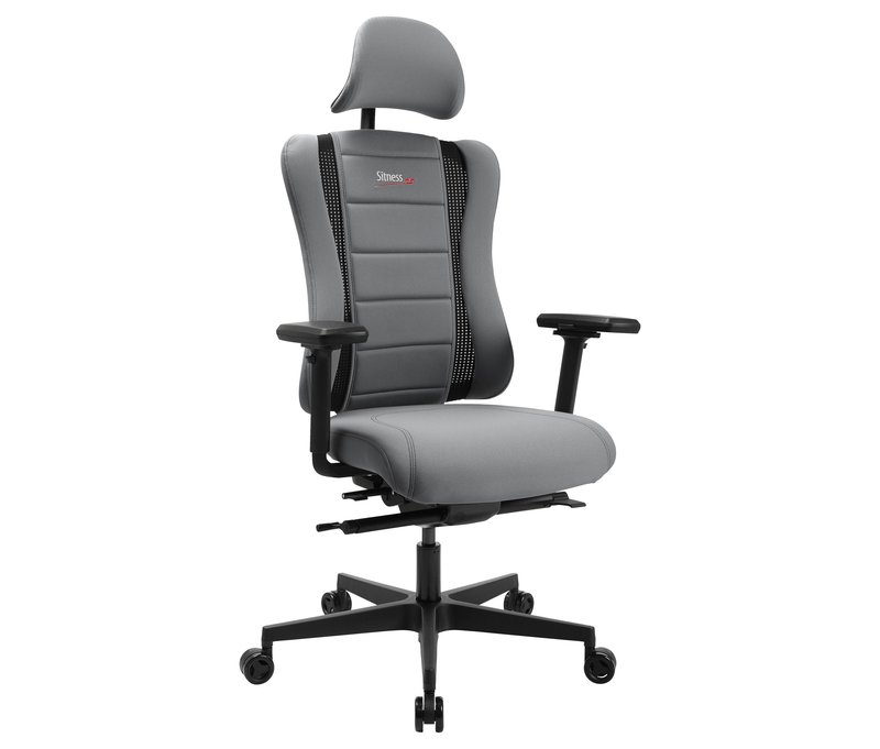 Sitness »RS Pro« - grau