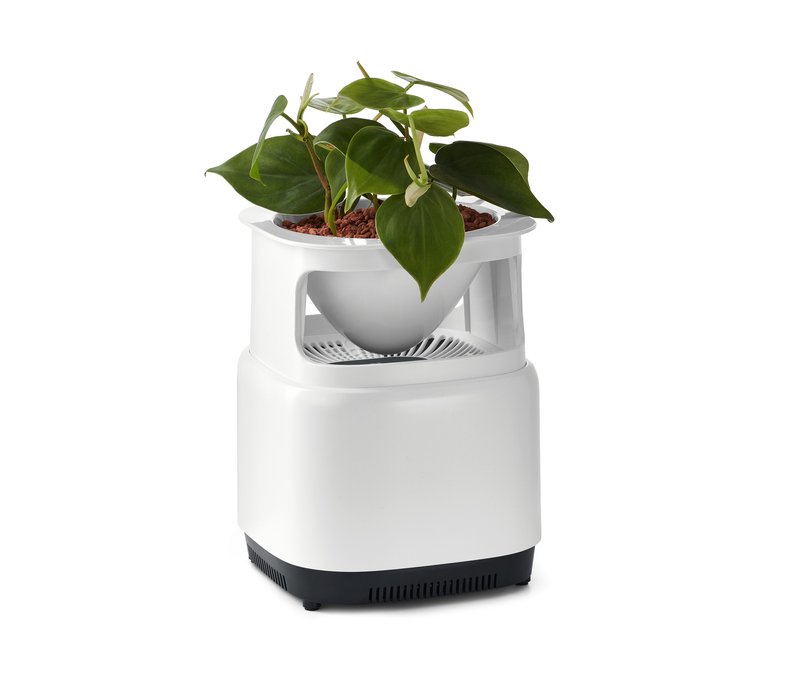 Tchibo - Blumentopf mit Luftfilter - weiß