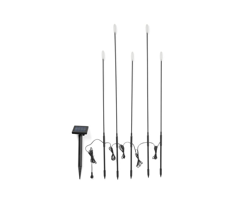 Tchibo - 5 LED-Solar-Spieße - schwarz