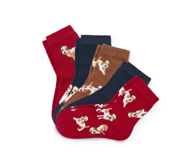 Tchibo - 5 Paar Kleinkind-Socken - Baby - Gr. 23-26 - dunkelblau