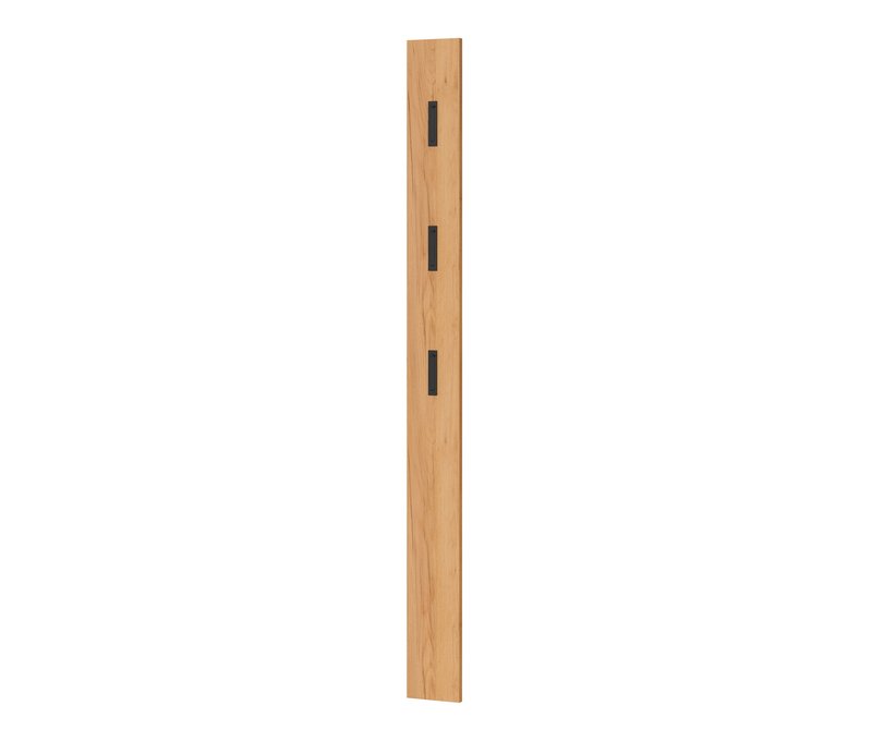Tchibo - Garderobenpaneel mit schwarzen Haken - 15x3x170cm - schwarz - Holz