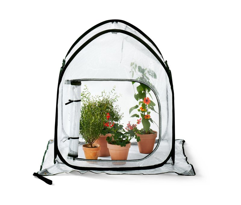 Tchibo - Kleines Pop-up-Pflanzenschutz-Zelt - 80x80x95cm - dunkelgrün -