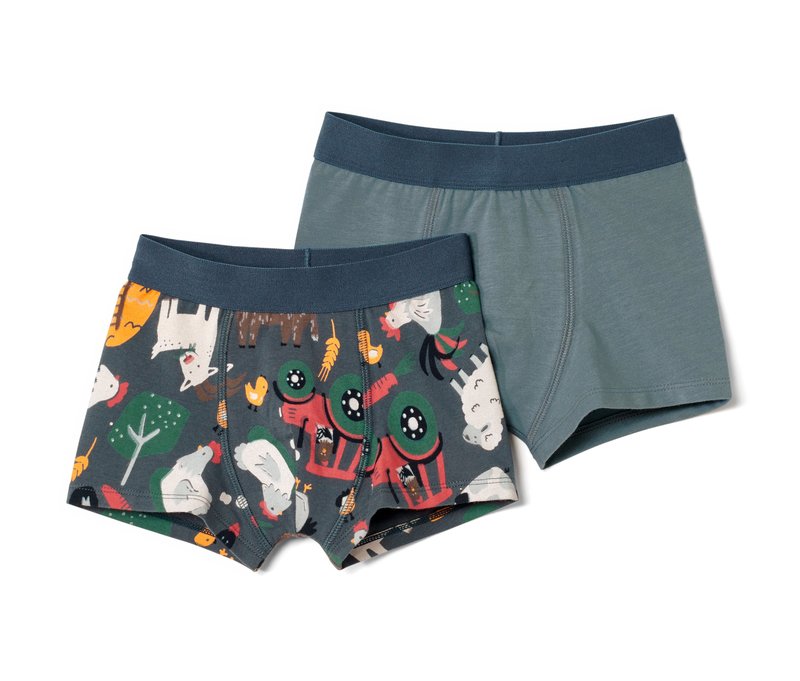 Tchibo - 2 Jungen-Slipboxer - Jungen - Gr. 122/128 - blau